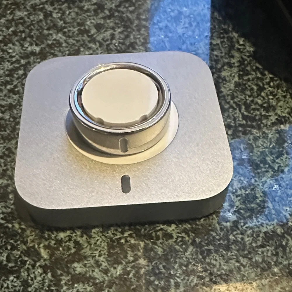 Oura Ring 4 - Silver